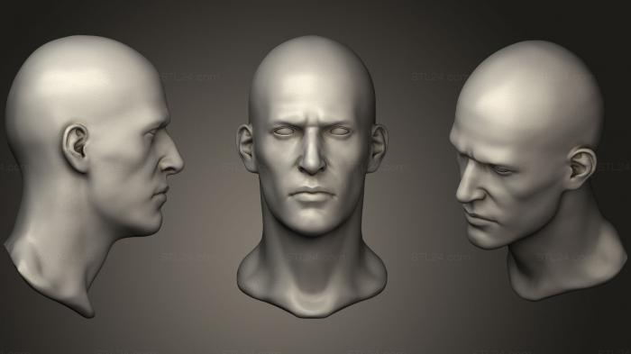 Анатомия скелеты и черепа (Голова, ANTM_0381) 3D модель для ЧПУ станка